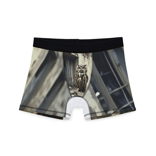 Men's Boxers (AOP)